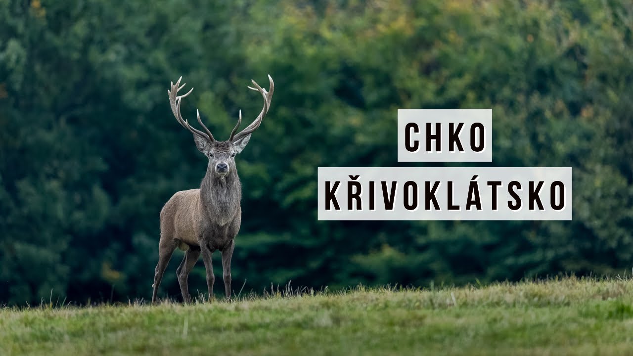 Odpolední scouting na focení v CHKO Křivoklátsko