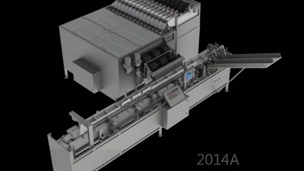 NEWTEC 2014AP with PCS SLIDE and NBM45AL Punnet / Tray Filler