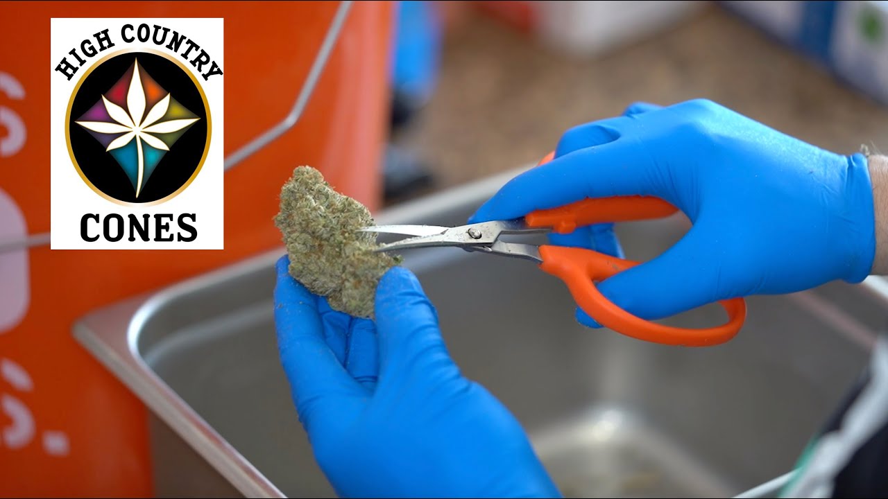 Behind the Scenes: High Country Cones