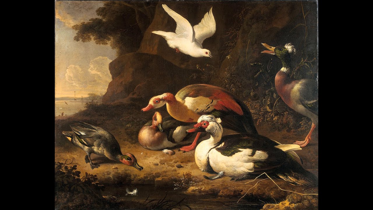 Animals & Genesis 1:24-28