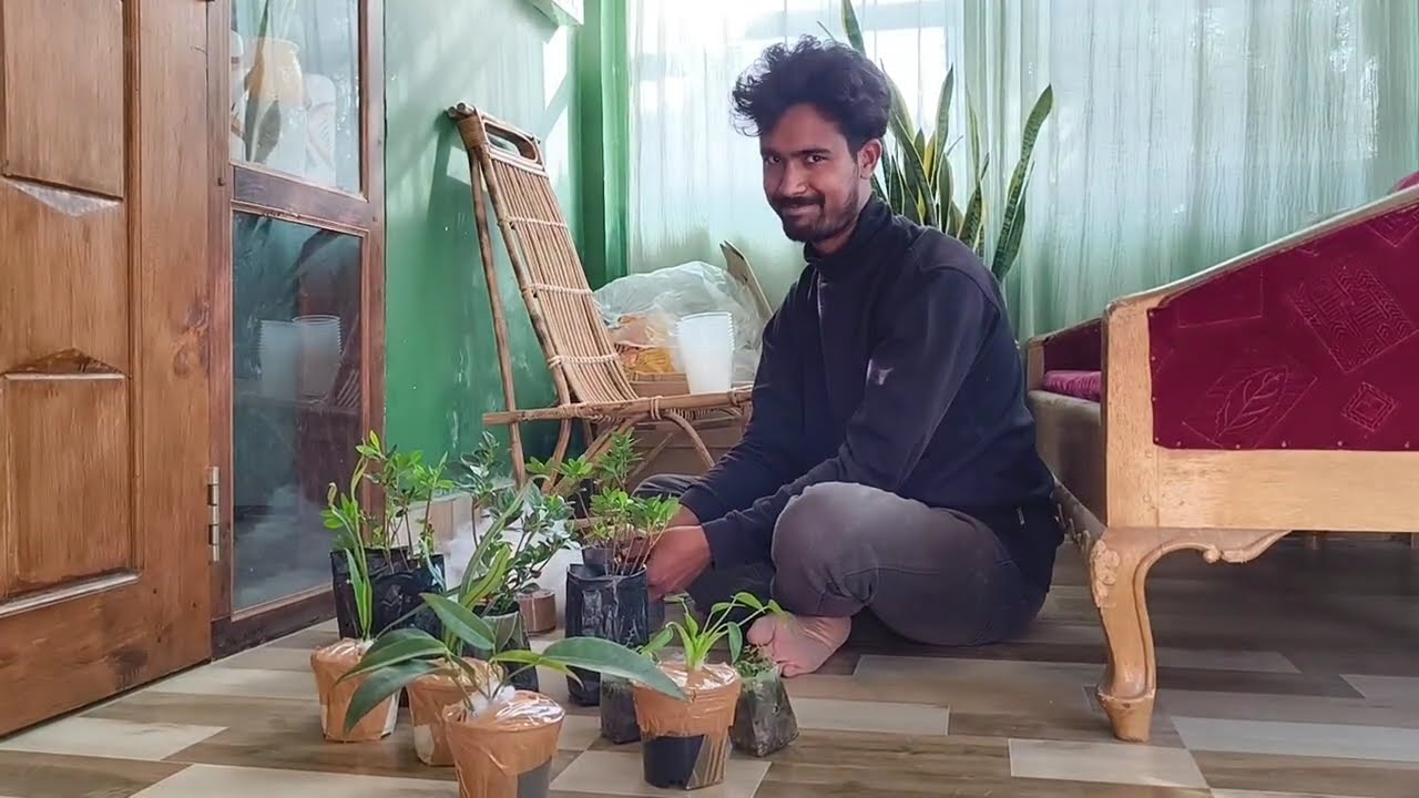 Vlog 05 - Soiled.in Visit 🌱 | Plants Explore & Packing | Indian Daily Vlog