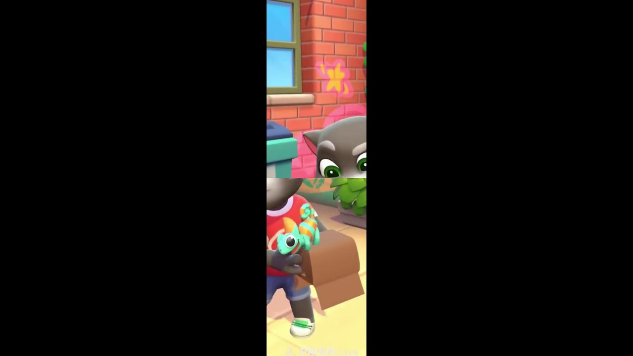 talking tom live fun