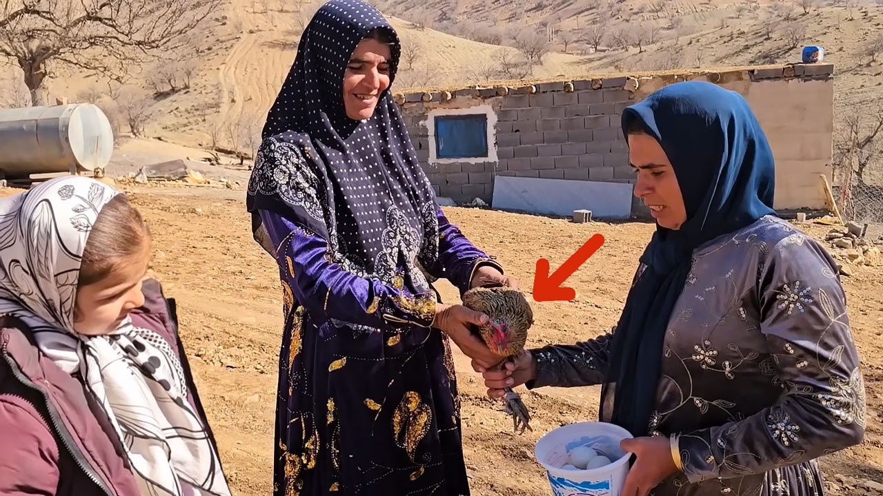 The death of the Fariba's chickens and Akram's help to her