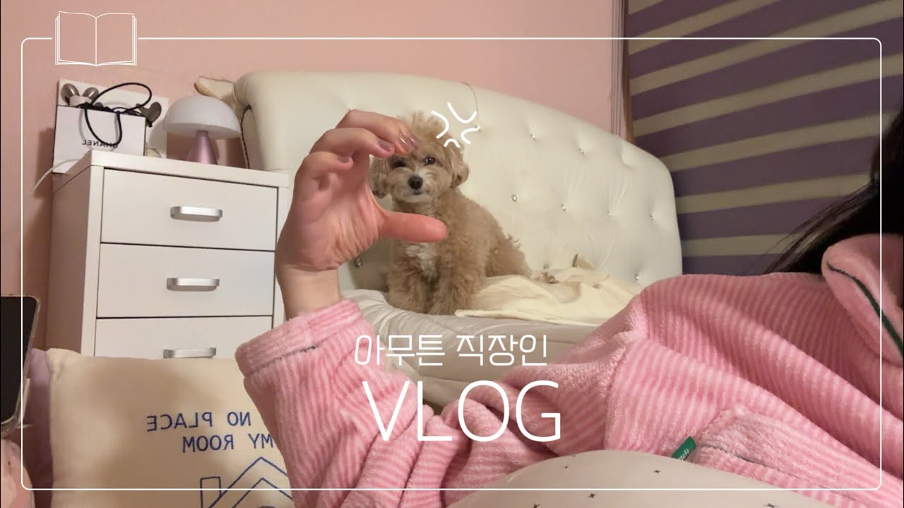 [vlog] 퇴근하고 성수에서 불금🔥 | 성수 핫플 식당 추천 | 북 커버를 샀다..!📚 | 흑백요리사 드디어 다 봄 | 용산 베이글 맛집 추천 | 요아정 먹으며 편집하는 주말