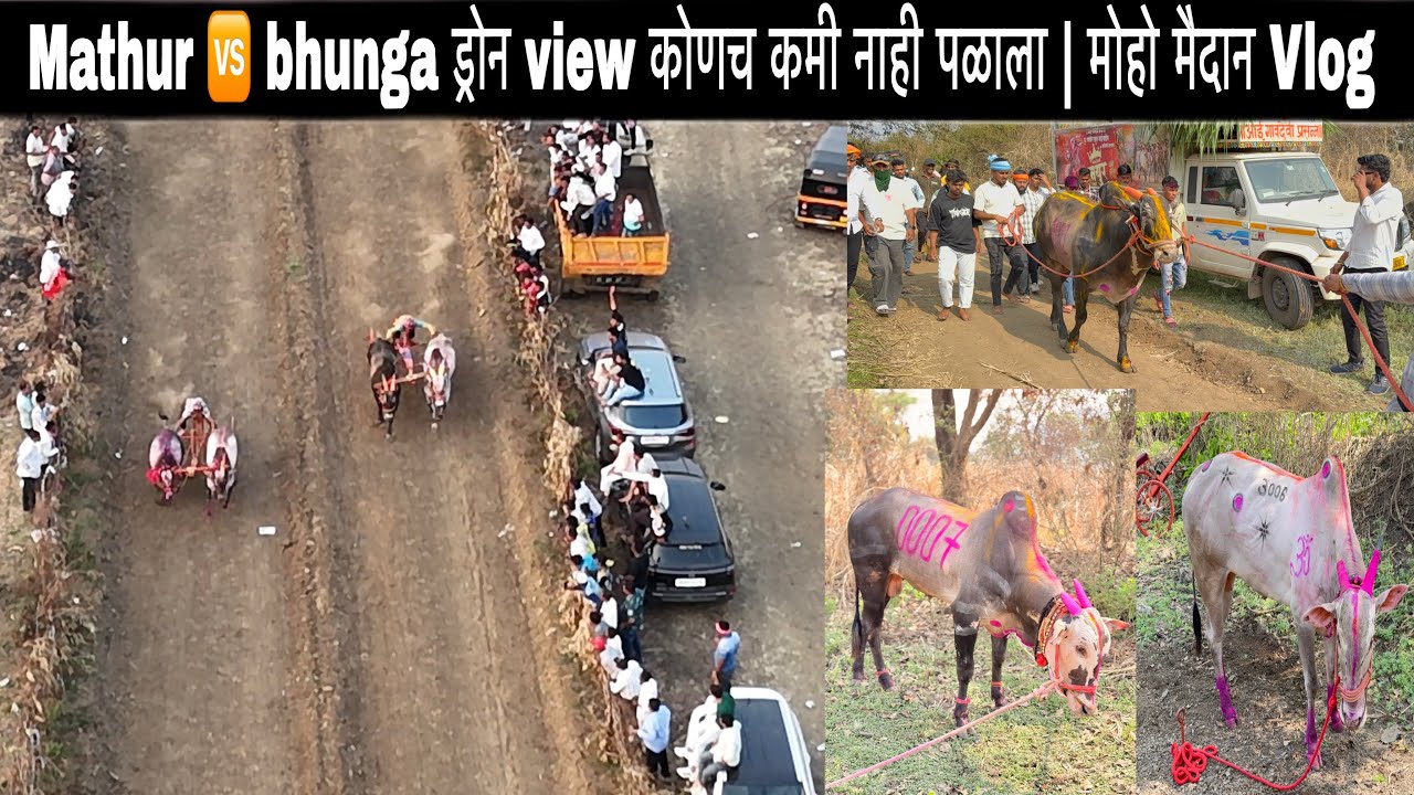मोहो मैदान पूर्ण vlog | Mathur 🆚 bhunga ड्रोन view कोणच कमी नाही पळाला 
