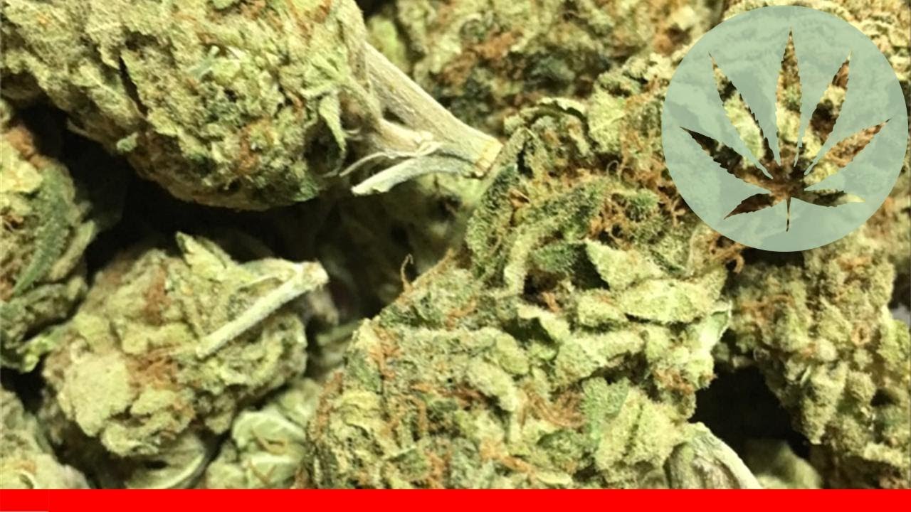 Strawberry Cheesecake - All About This Strain