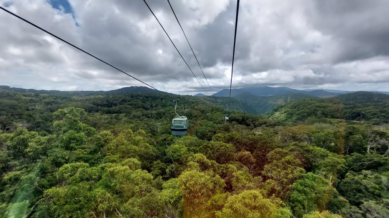 Yorkey's Knob, Cairns, QLD - Kuranda Skyrail & Scenic Railway to Daintree Rainforest & Barron Falls