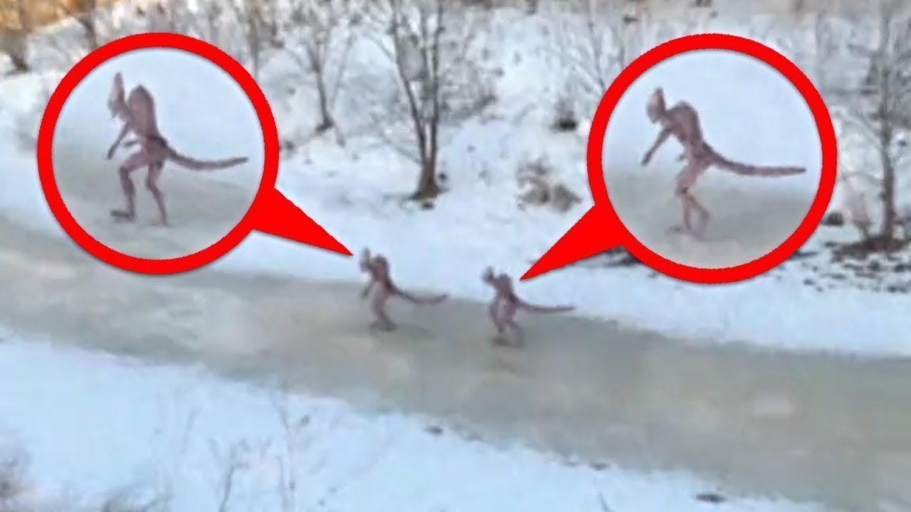 Exclusive Footage: Drone Captures Epic Beyond Our Sight