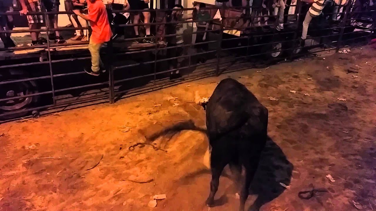 Largadas do fortios 2014