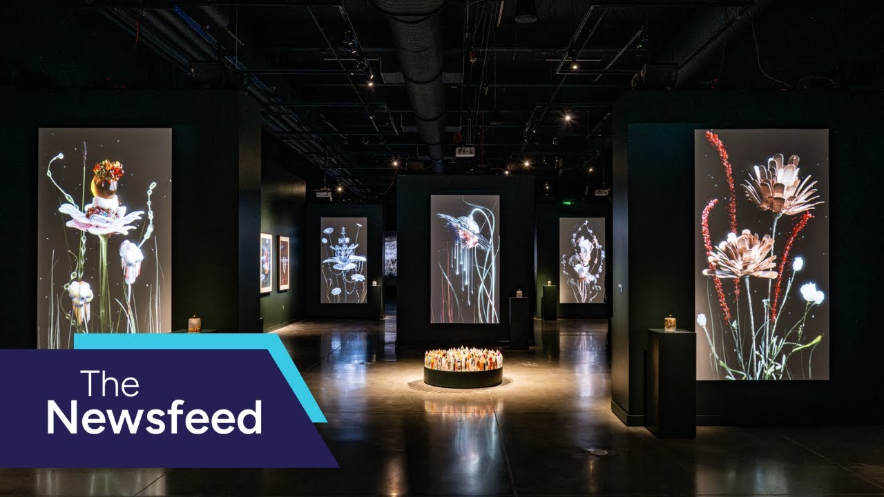 Surprising sights and scents at Seattle's National Nordic Museum | The Newsfeed