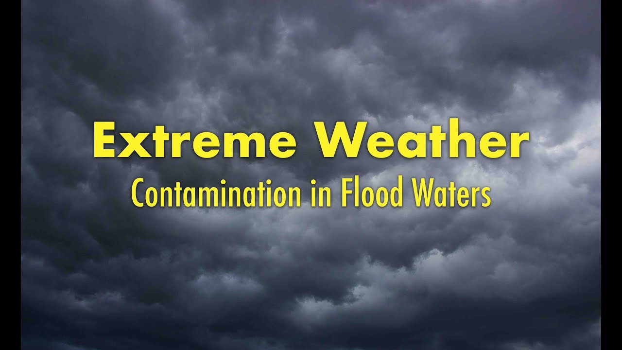 Extreme Weather: Contamination in Flood Waters