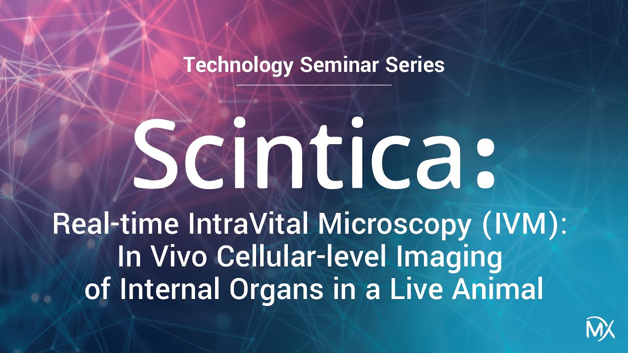 TSS: Scintica presents Real-time Intravital Microscopy (IVM), In Vivo Cellular-level Imaging