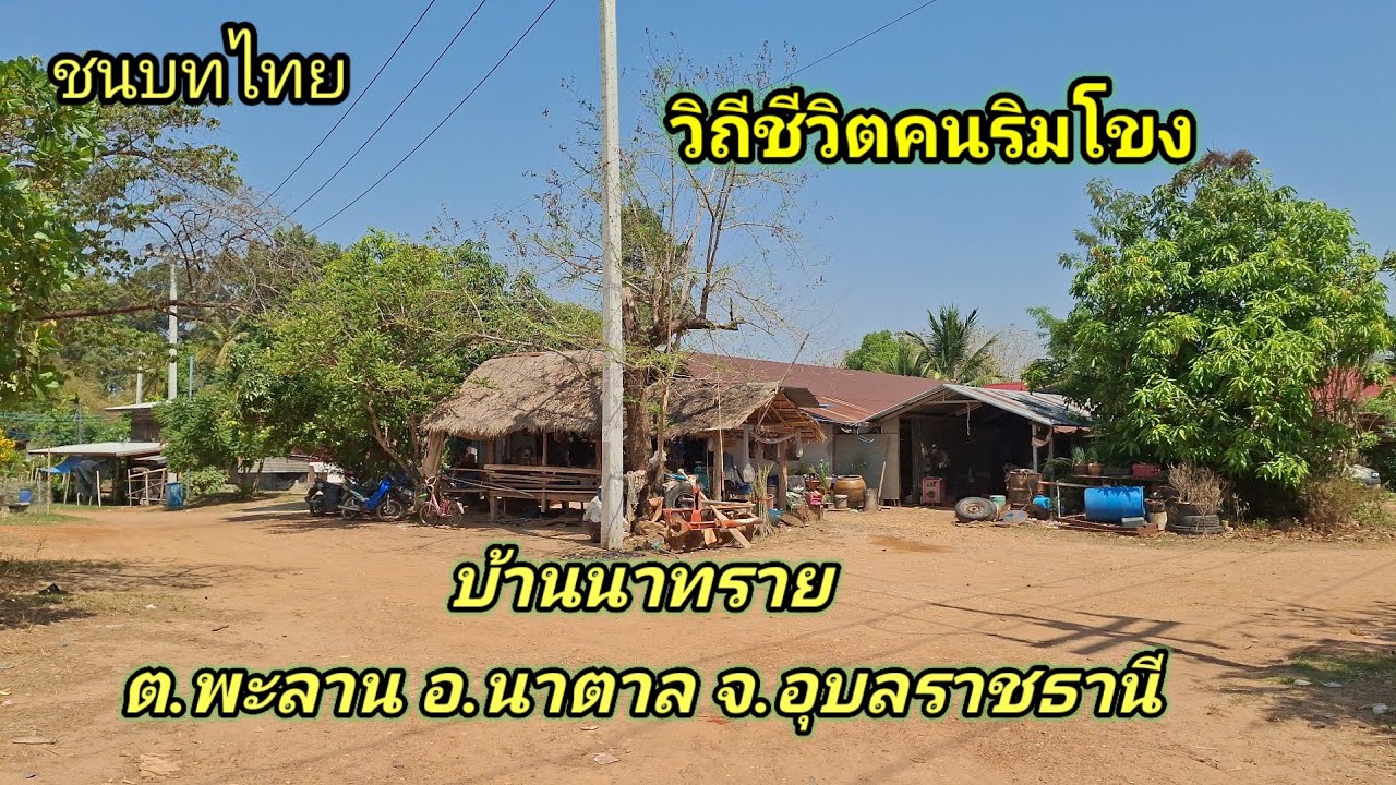 พาชมวิถีชีวิตคนริมโขง ชนบทอีสานใต้ อำเภอนาตาลจังหวัดอุบลราชธานี #ชนบทไทย 