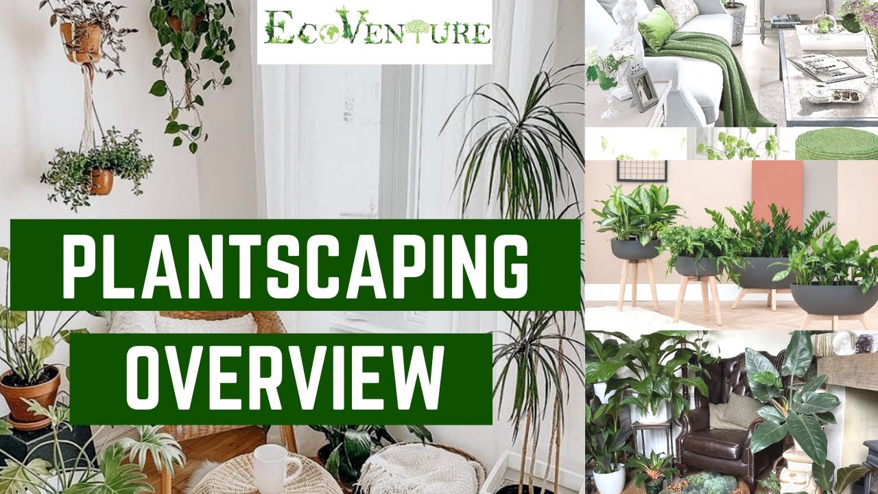 Plantscaping | Home Decoration Ideas Using Plants #homedecor #plantdecor
