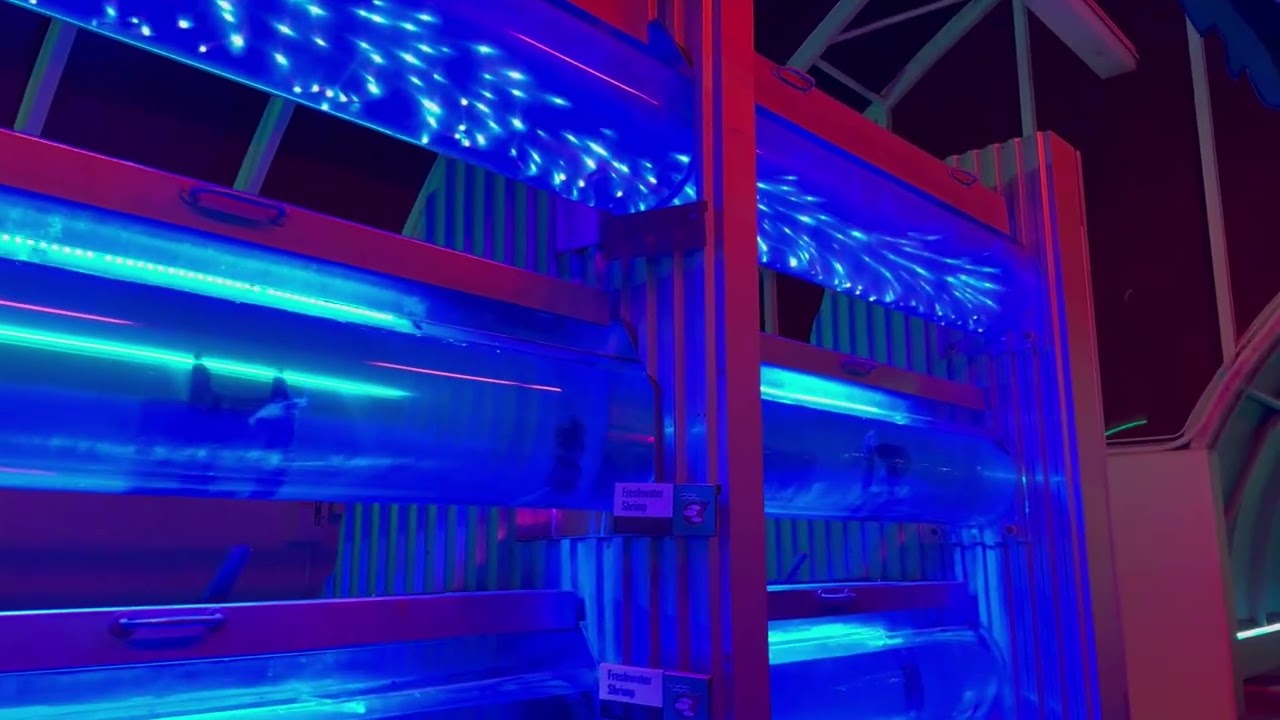 Epcot - Living with the Land - Glimmering Greenhouses - 12/19/2025 - 4k
