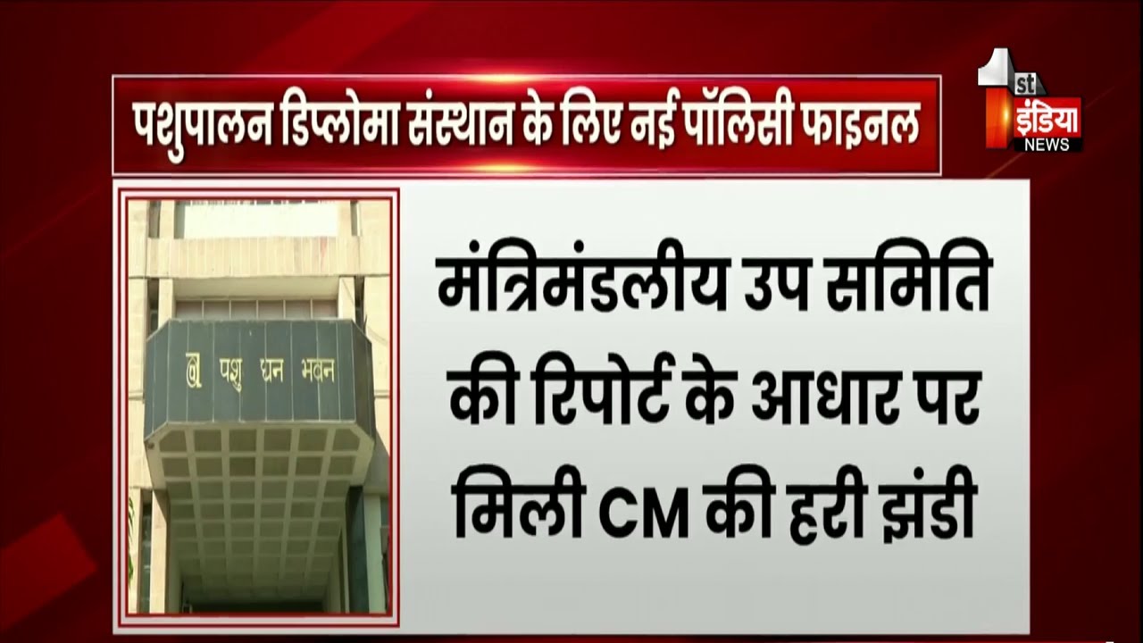 पशुपालन डिप्लोमा संस्थान स्थापना की प्रक्रिया और आसान ! | Exclusive Report | Rajasthan News