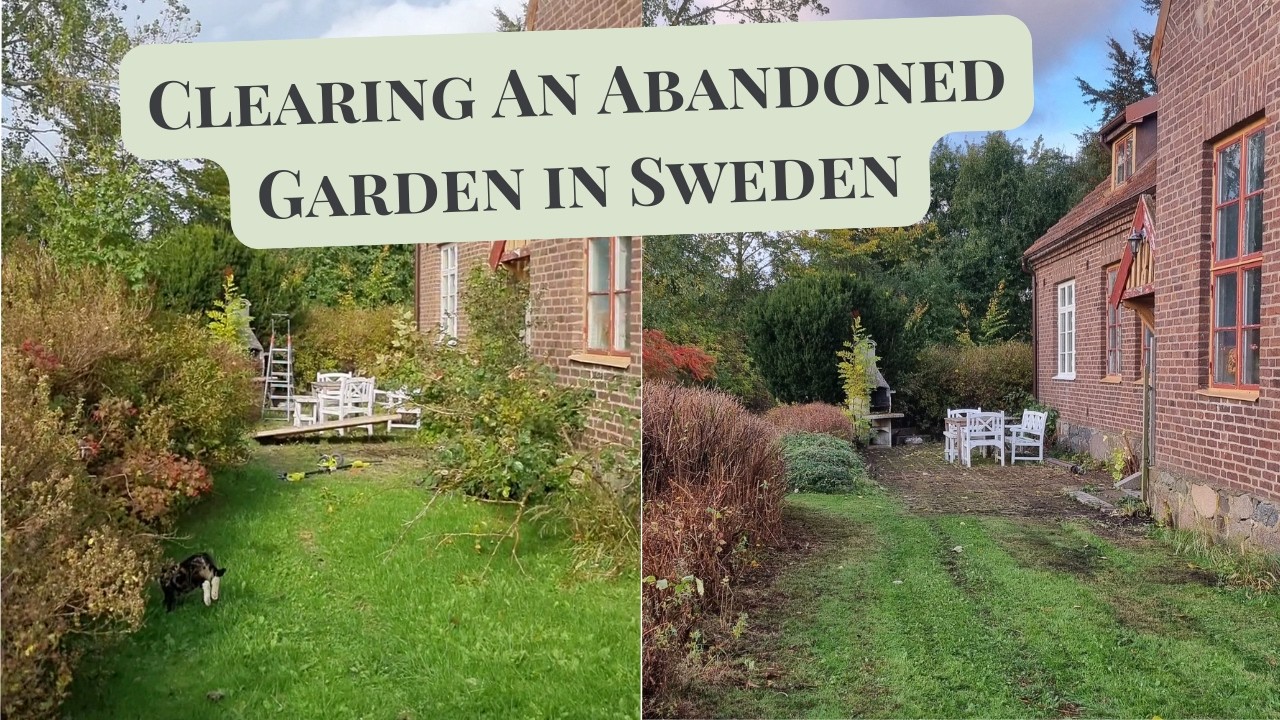 E44 Restoring Wall Cabinet l Trimming Overgrown Bushes and Trees