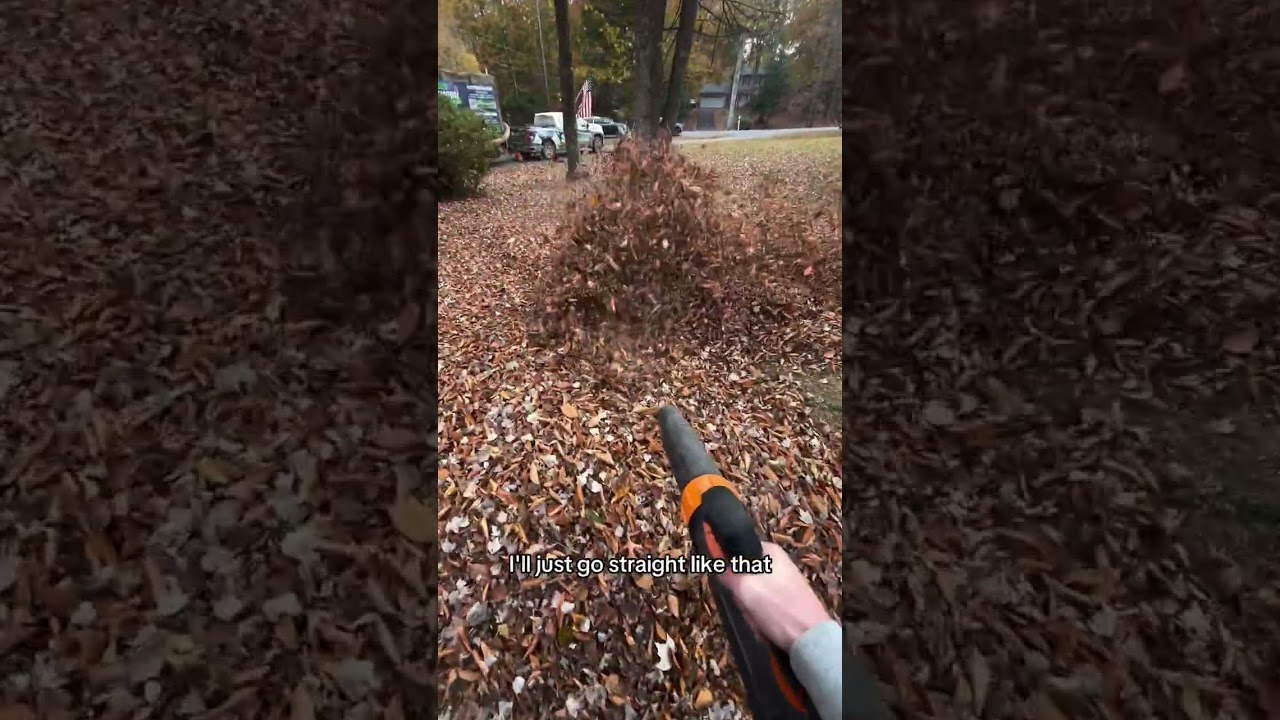 Master the Art of Leaf Blowing! 🍂💨 Best Technique Revealed!