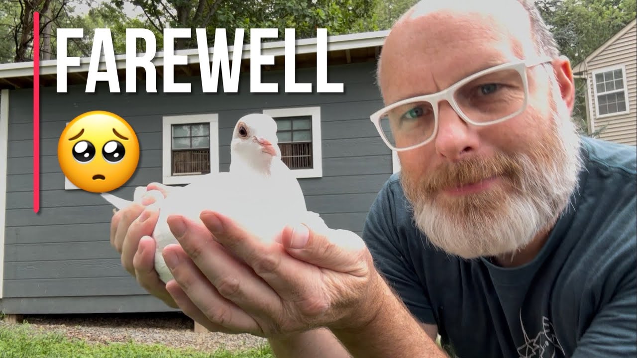 The End of an era: Robertson Family Racing Pigeons moves