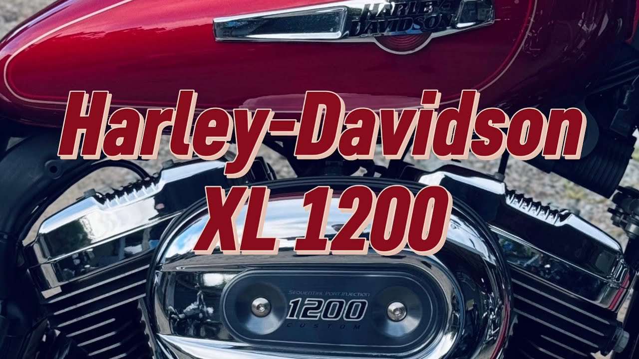 Harley-Davidson XL 1200  | RIDE MOTOCYCLE | Sul da Ilha - Floripa-SC | POV [4K]