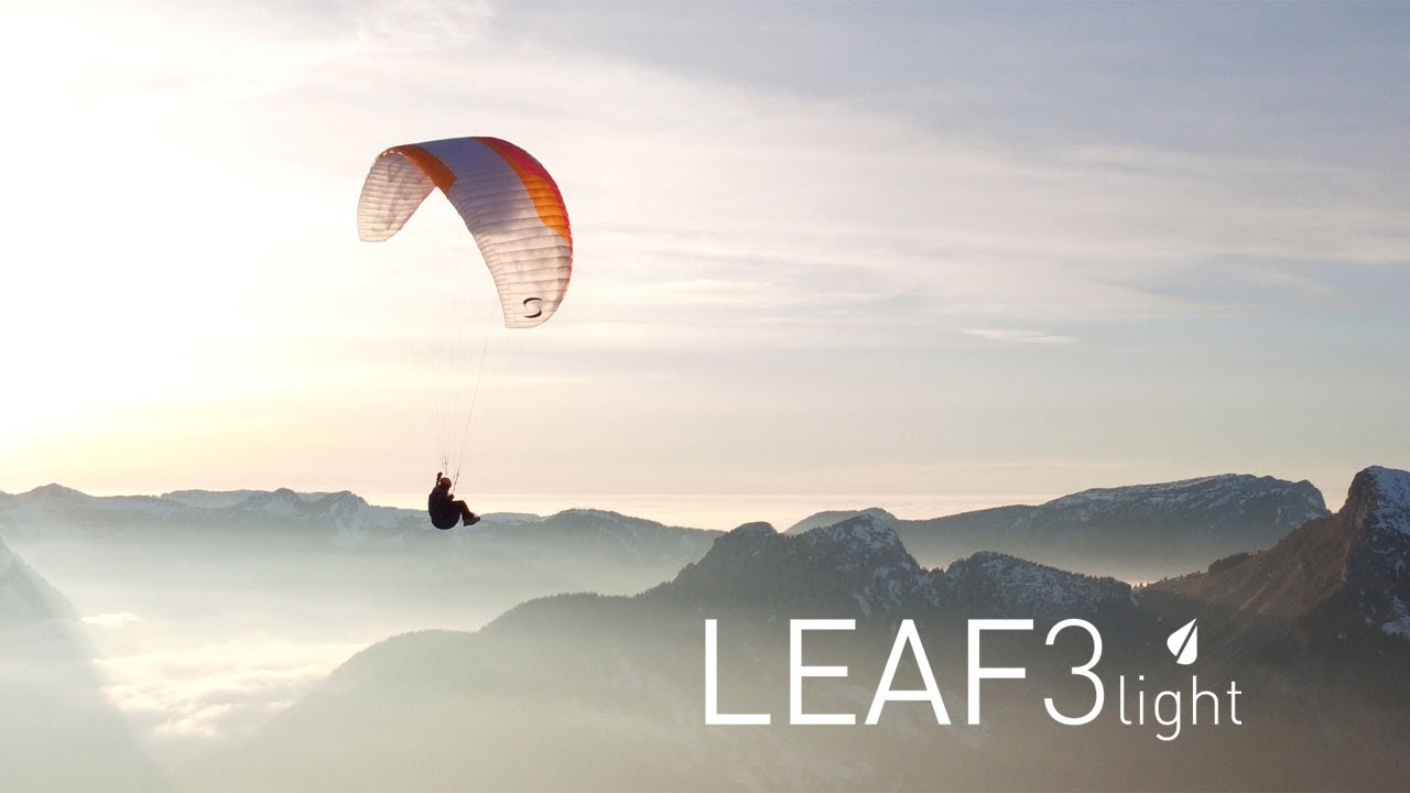 Leaf 3 Light