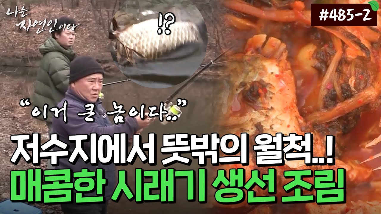 [자연인] 485-2 저수지에서 낚은 월척이 최소 3자?! 시래기 가득 넣은 조림까지..!