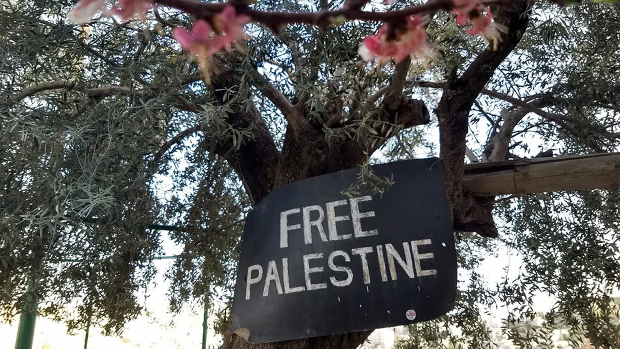 Apartheid og okkupasjon i Palestina: Hvor g&aring;r veien videre
