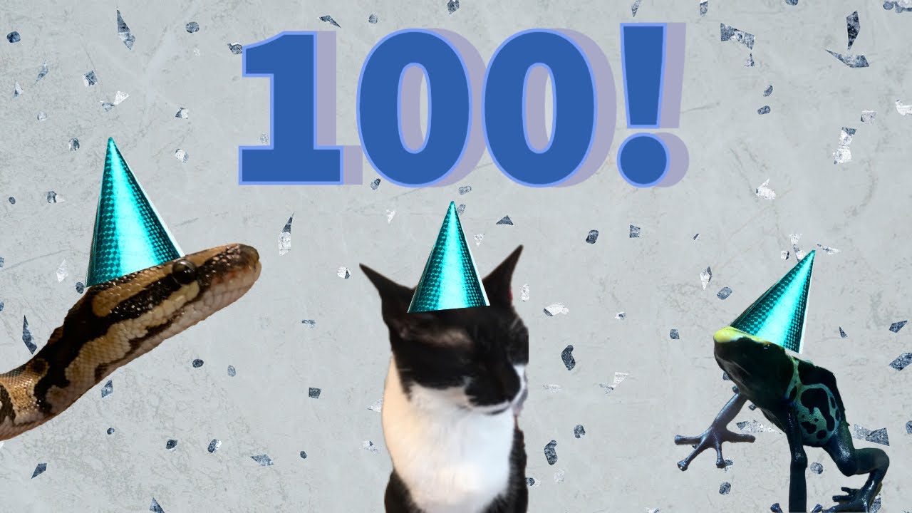 Pet treats for our 100 subscribers party!