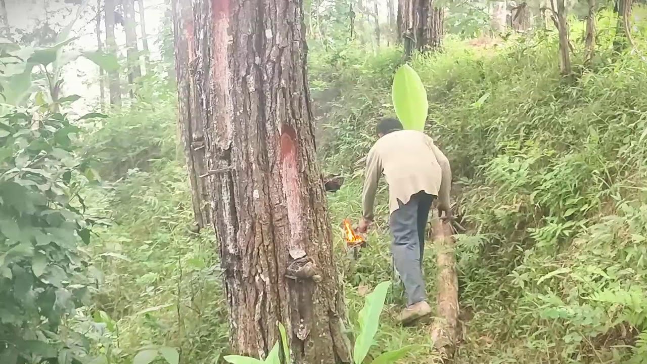 Classic Soil Digging Farming Technique #RuralAgriculture #TraditionalFarming