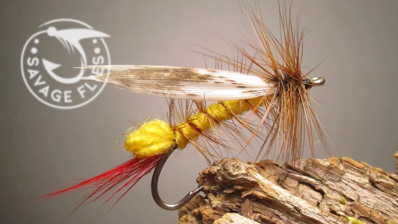 Not a Dave's Hopper (this one is easier)
