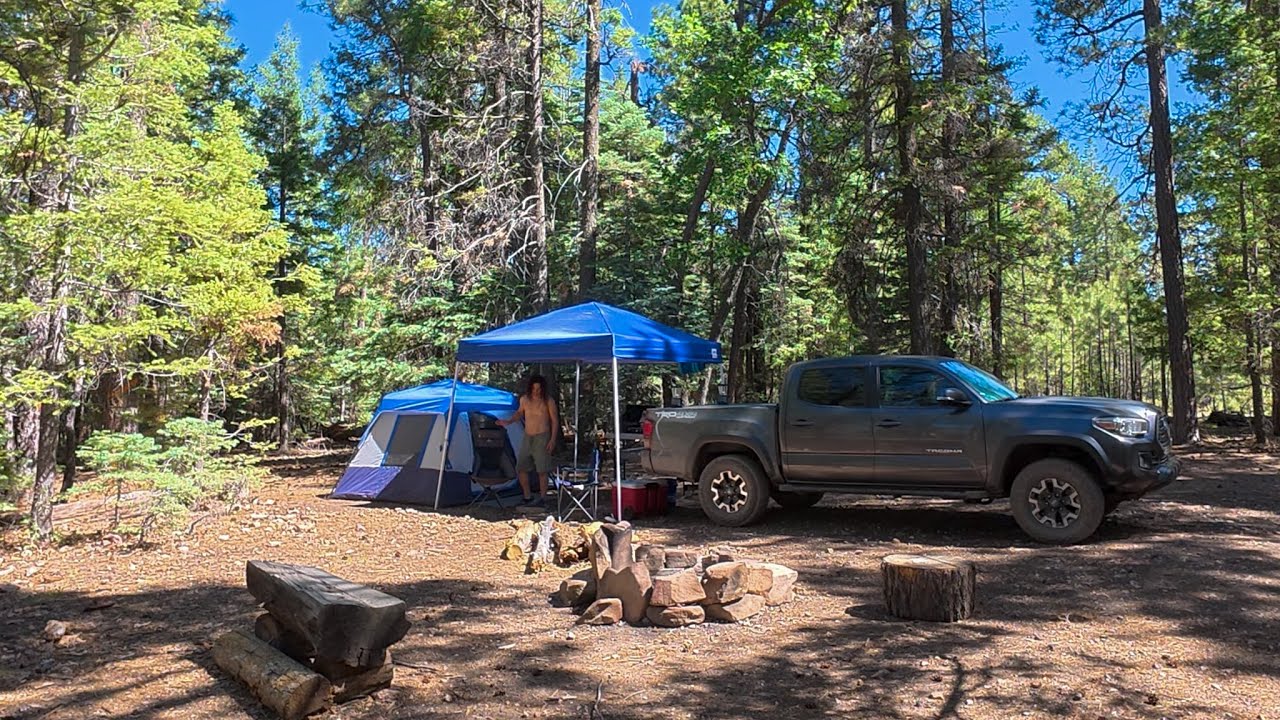 Camping in the Forest and Cooking Some Delicious Food Out in Nature. I Also Giving Some Updates