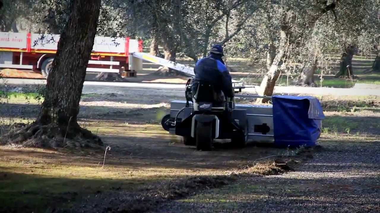 Spazzolatrice olive HDS 24 AGRIMAGLIE - raccolta olive nel salento