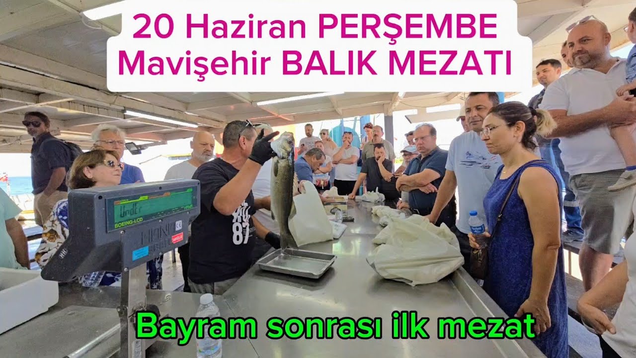 BAYRAM SONRASI MAVİŞEHİR BALIK MEZATINA YİNE CANLI TROFE  LEVREKLER DAMGA VURDU.
