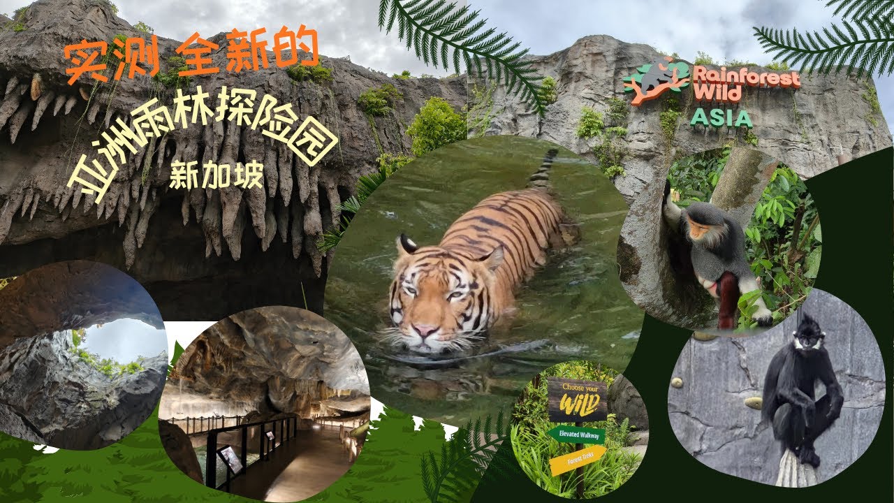 实测 全新的 新加坡 亚洲雨林探险园 Explore Rainforest Wild Asia Singapore