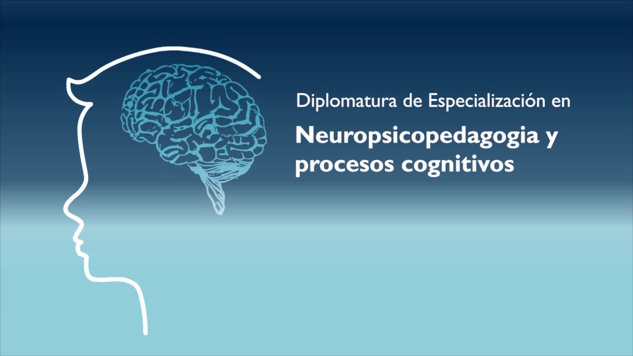 NEUROPSICOPEDAGOGIA - Neurodesarrollo: Períodos sensibles