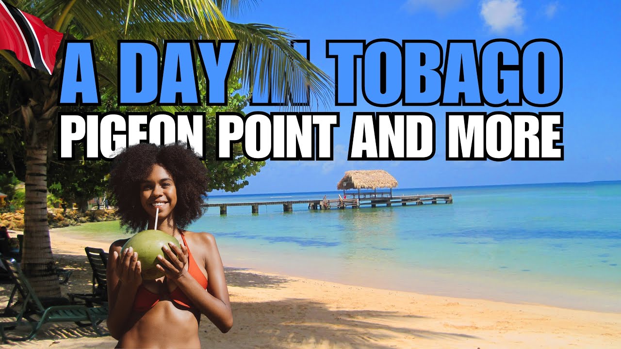 🇹🇹 A Day in Tobago: Pigeon Point to Forts & Ferry Adventures!