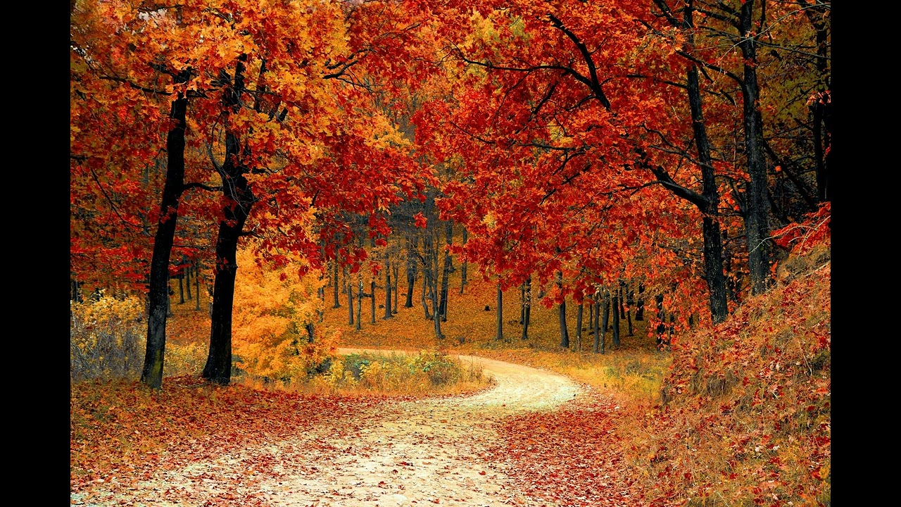 Show me the way by kriss Dwayne