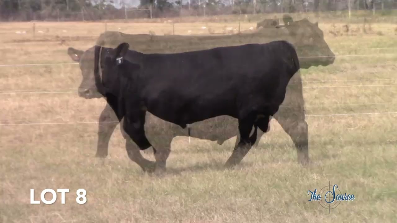 2022 Lot8