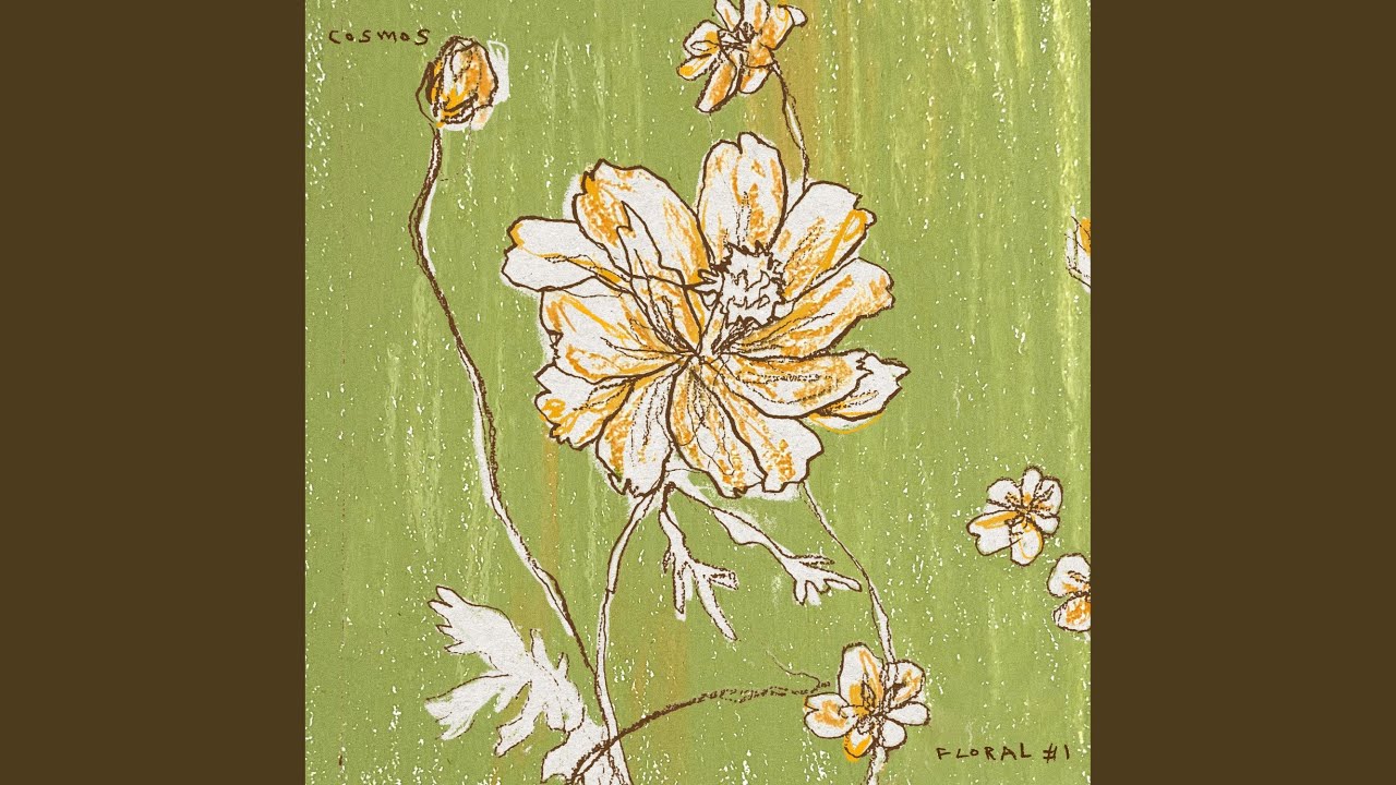 Cosmos