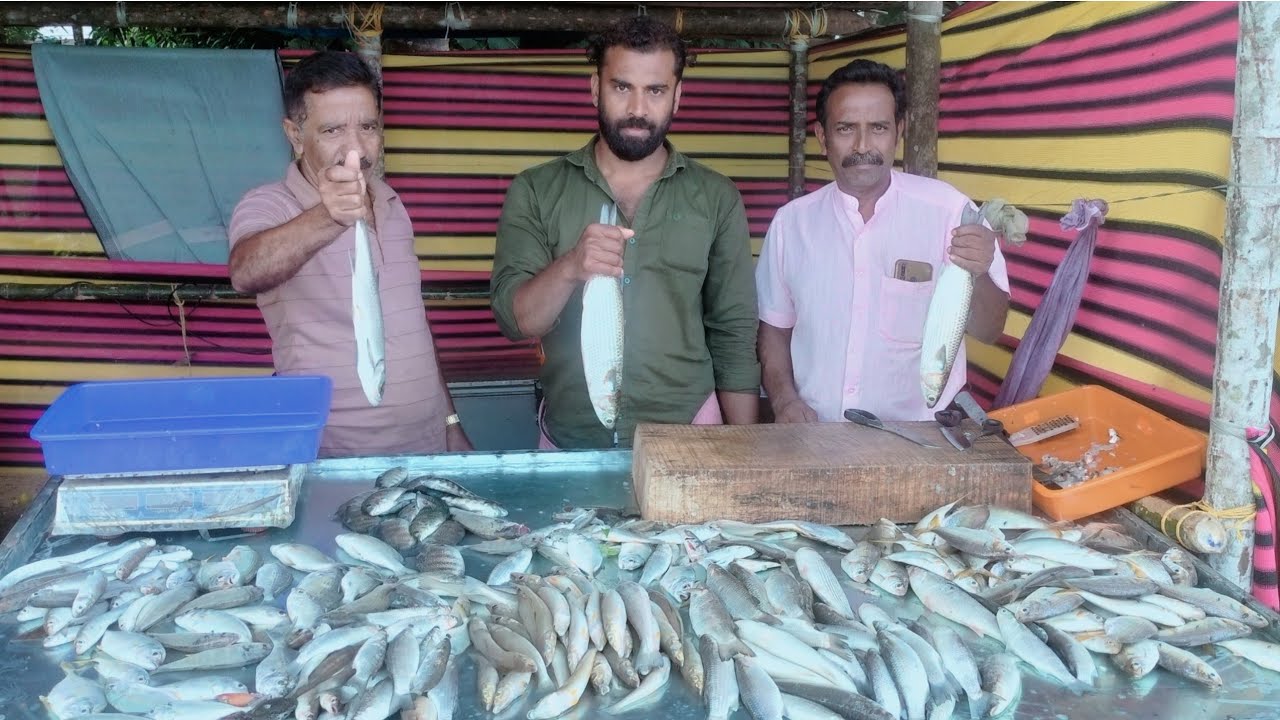 80 രൂപക്ക് നല്ല പുഴ മീൻ | കട്ടിംഗ് ക്ലീനിംഗ് ഫ്രീ | River fish market | River fish catching | fish