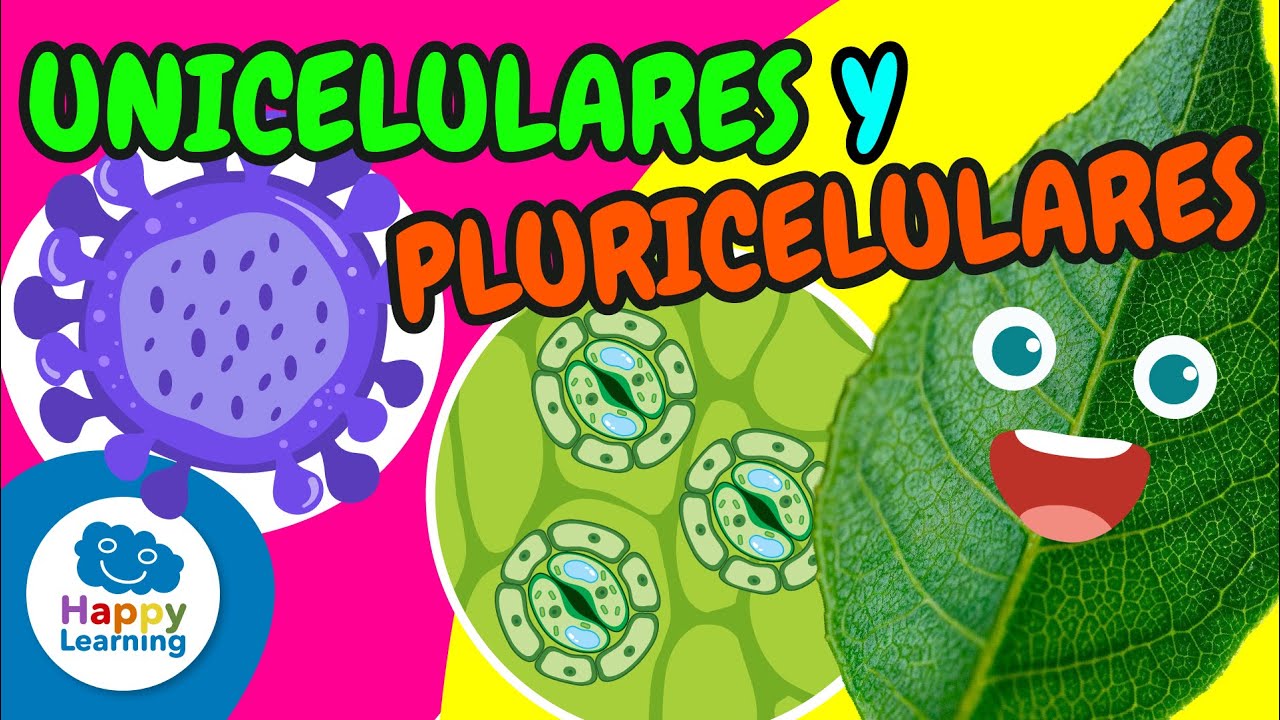 🔬¿Cómo viven las CÉLULAS? | SERES UNICELULARES y PLURICELULARES |Vídeos Educativos| @HappyLearningES