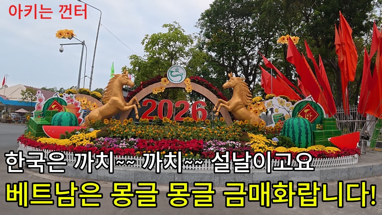 한국은 까치 까치 설날이고요!  베트남은 몽골 몽골 금매화 설이레요!!