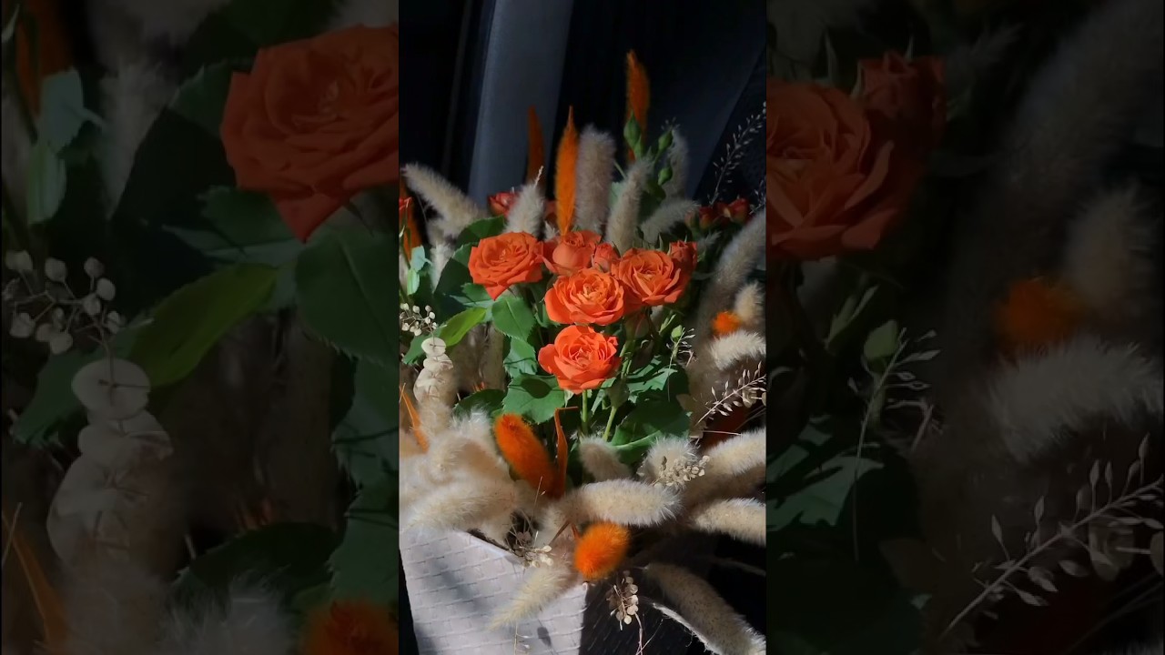 #bdayvlog