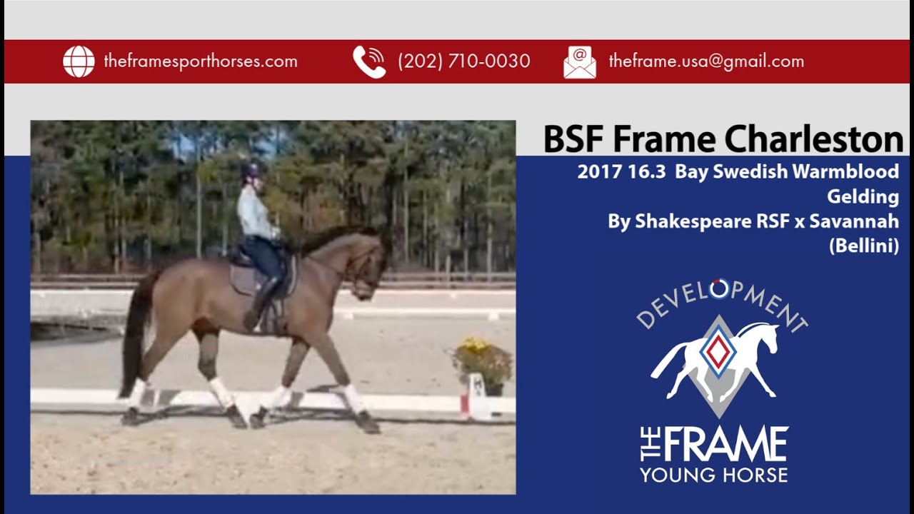 BSF Frame Charleston ** Schooling In Aiken with Kelli Temple