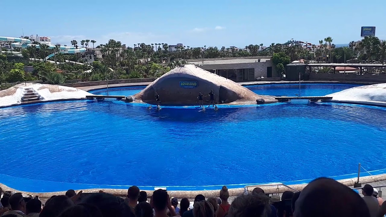 Tenerife Aqua Land June 2018 dolphin show