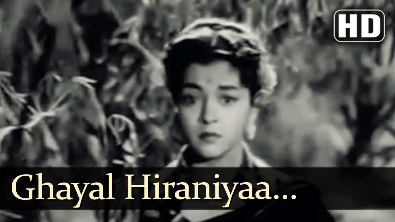 Ghayal Hiraniyaa | Munimji Songs | Dev Anand | Nalini Jaywant | Lata Mangeshkar | Filmigaane