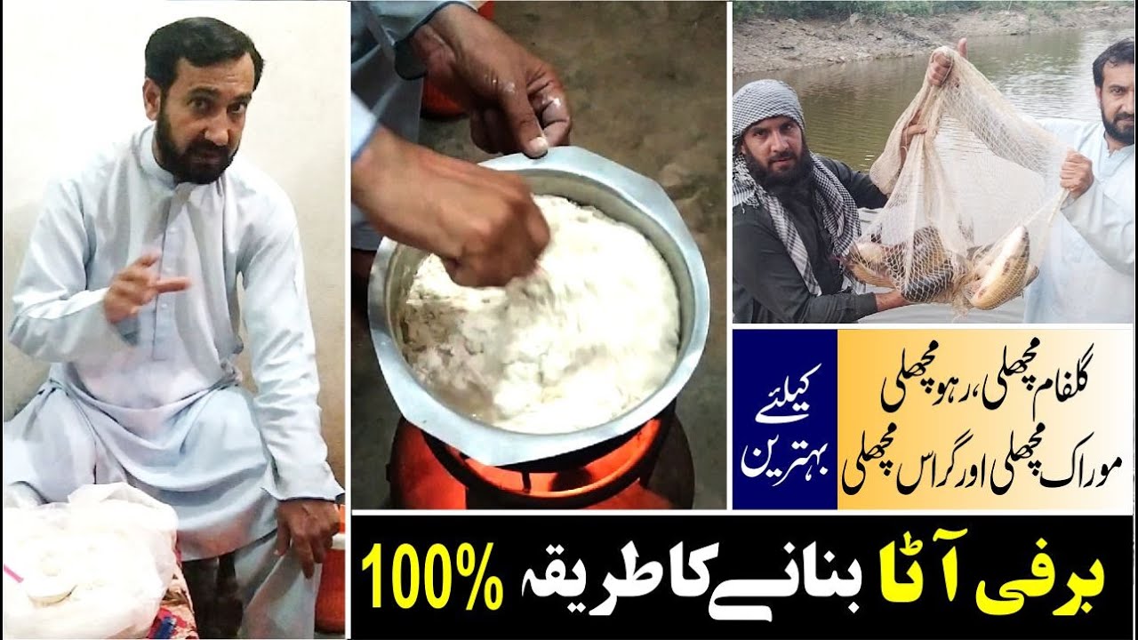 Easy Barfi Ata Recipe for fishing | machli ke liye barfi ata banane ka tarika