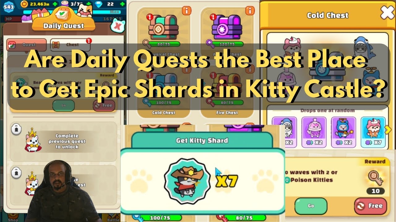 Checking Out the Epic Shard Drop Rate in Daily Quests in Kitty Castle