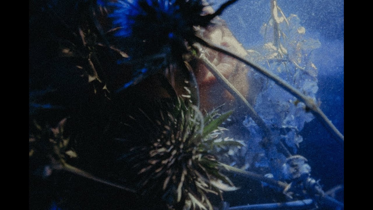 STANOVSKY - Glauben (Official Video)