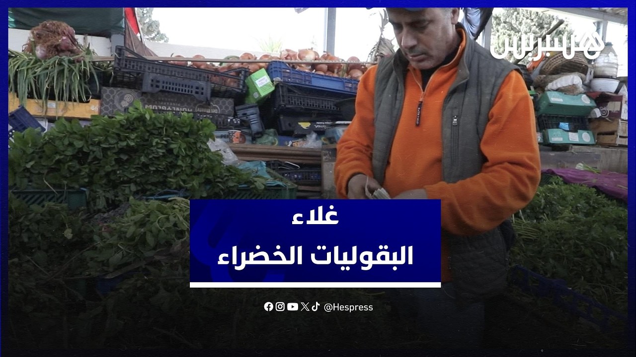 أسعار البقوليات الخضراء.. “المعدنوس” و”الكرافس” يقفزان إلى مستويات غير مسبوقة